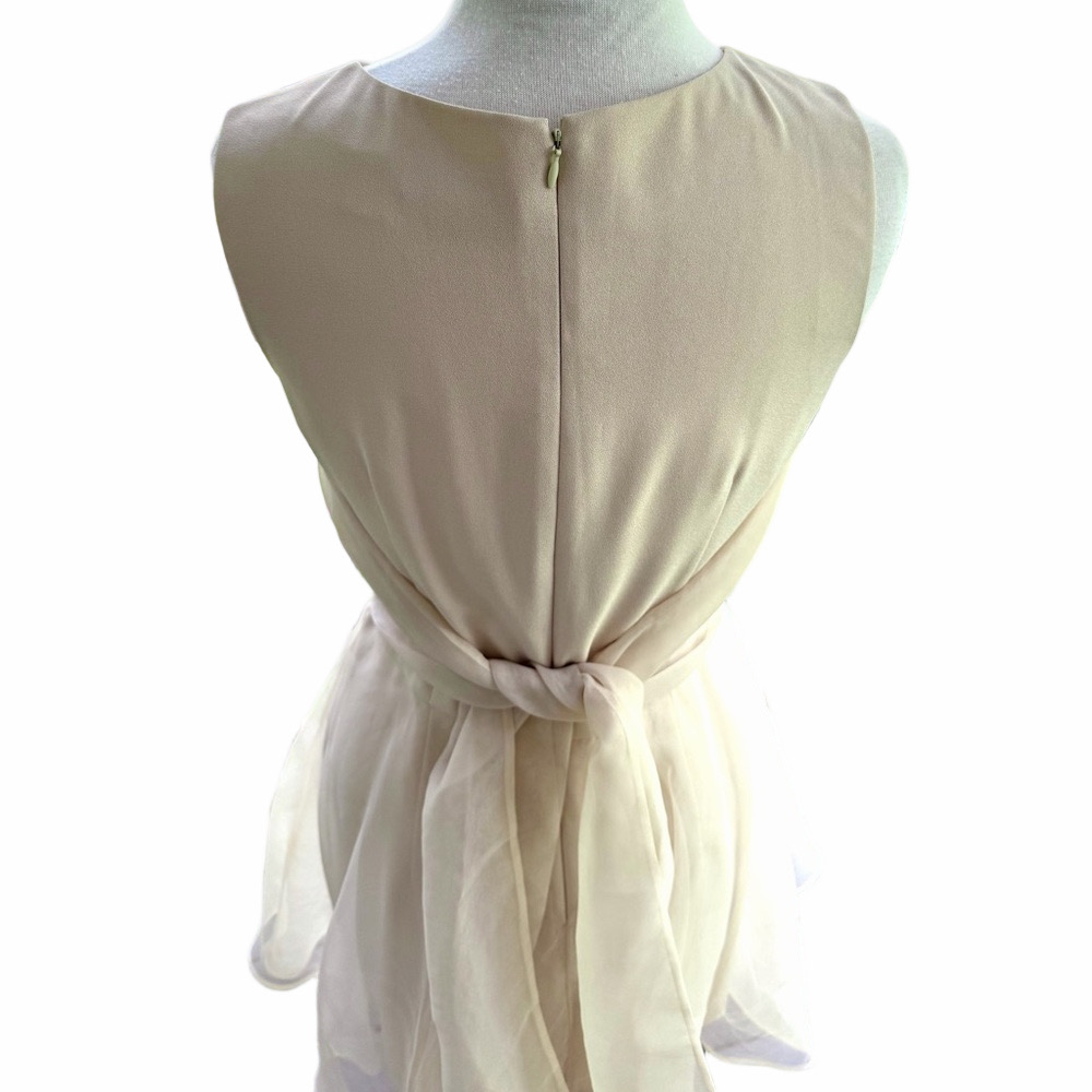 Ann Taylor Fit Flare Beige Size 10 Dress Sleeveless Formal Organza With Bow - Picture 5 of 11